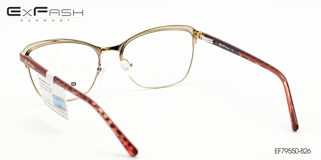 Gọng Kính Hợp Kim Exfash EF79550-826 - Hình 4