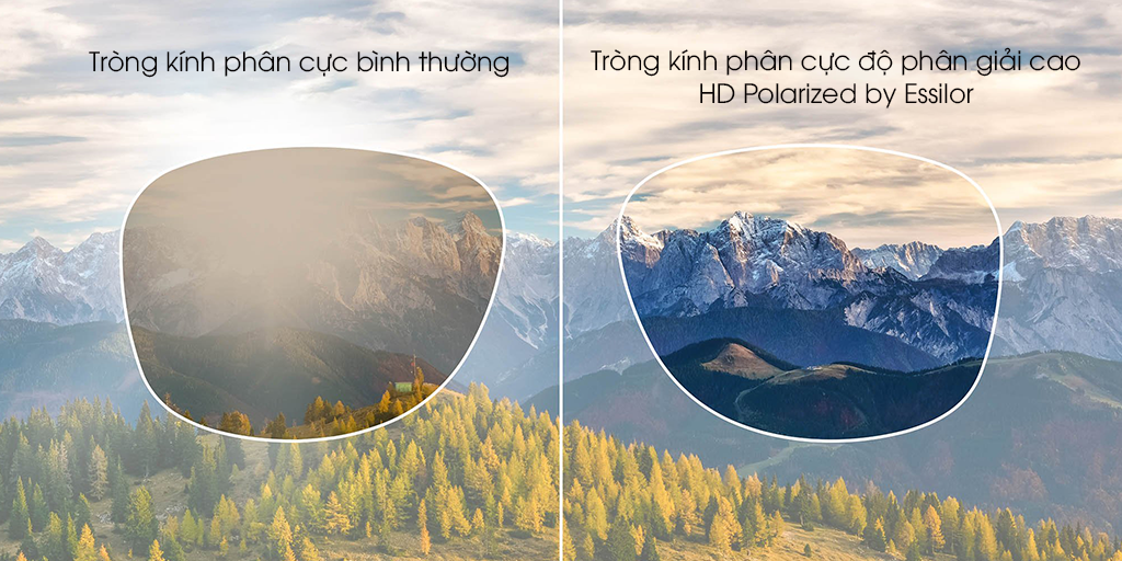 KÍNH MÁT NỮ BOLON BL7105-A60 - Hình 6