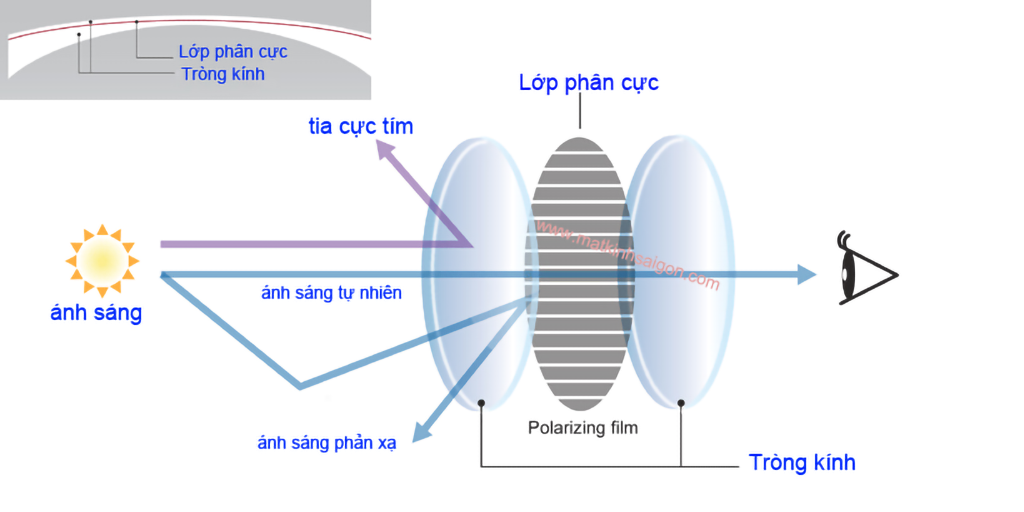 KÍNH MÁT NAM MOLSION MS8029 D12 - Hình 4