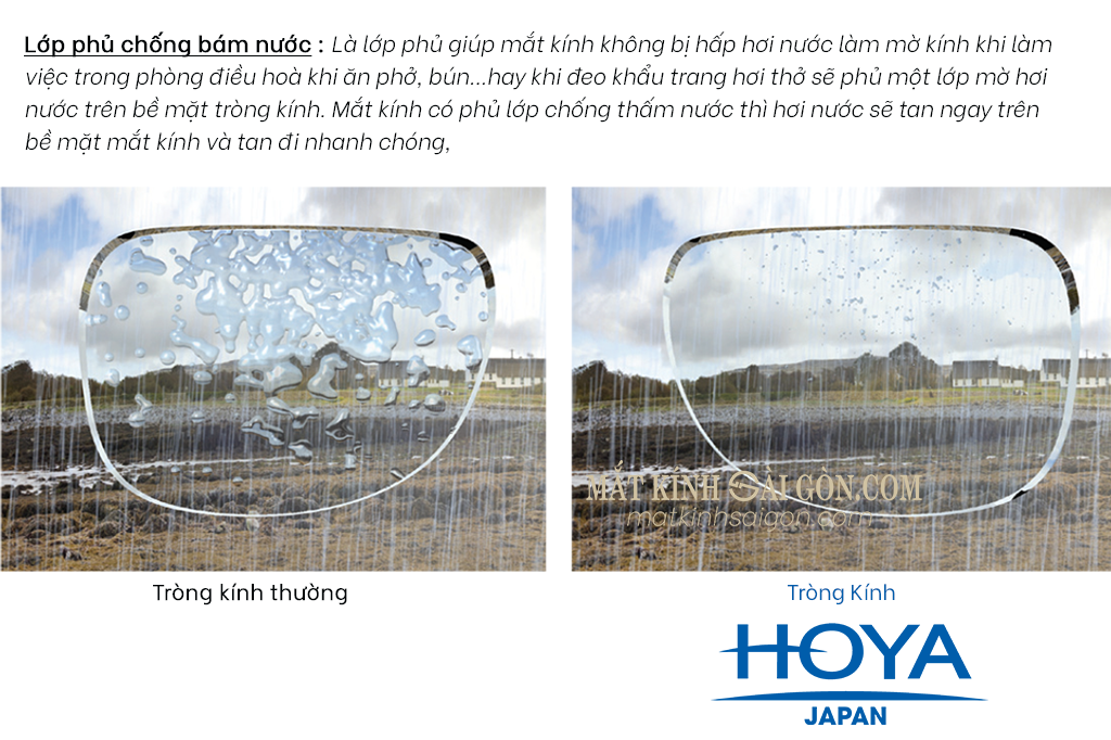 Tròng Kính 1.60 HOYA Stellfy BlueControl - Hình 6