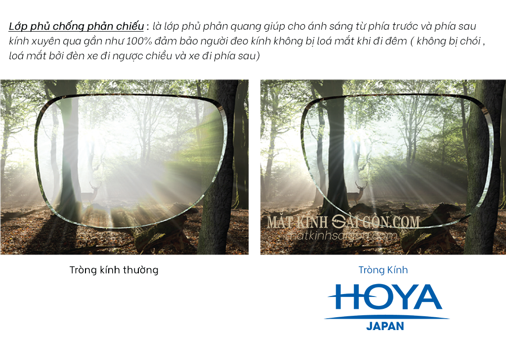 Tròng Kính 1.60 HOYA Stellfy BlueControl - Hình 5