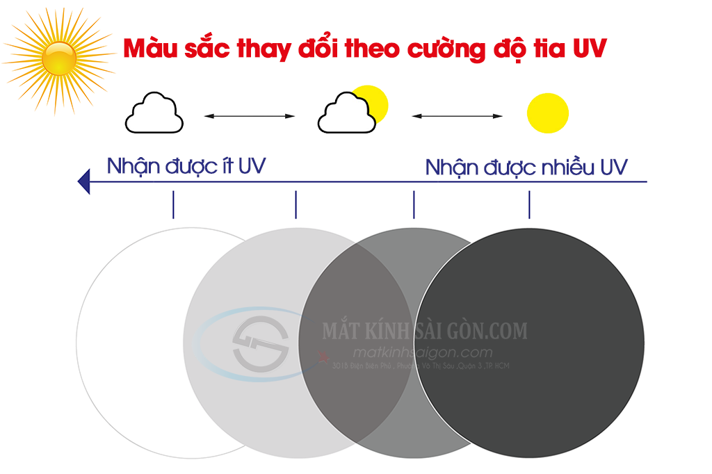 Tròng Kính Đổi Màu 1.55 Hoya Sensity - Hình 3