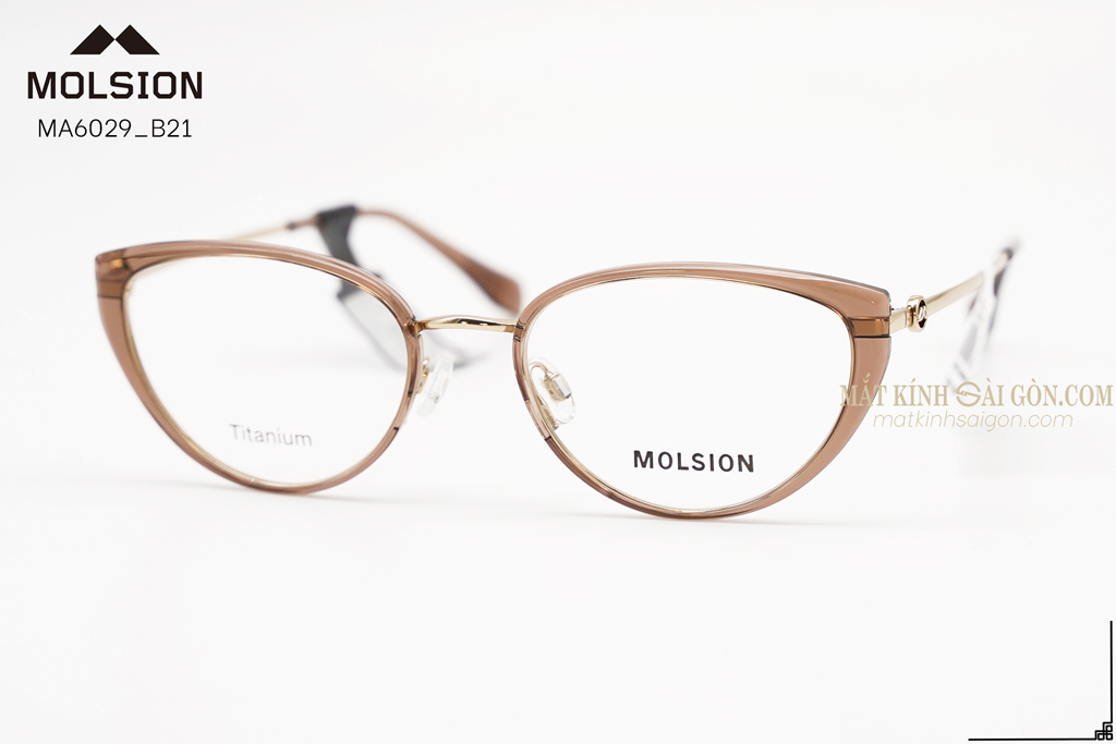 GỌNG KÍNH MOLSION MA6029 B21